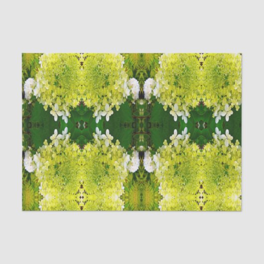 Elegante Chartreuse Green Limelight Hydrangea Seidenpapier (Vorderseite)