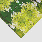 Elegante Chartreuse Green Limelight Hydrangea Seidenpapier (Ausschnitt)