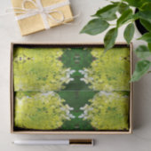 Elegante Chartreuse Green Limelight Hydrangea Seidenpapier (Geschenk)
