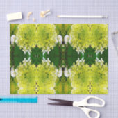 Elegante Chartreuse Green Limelight Hydrangea Seidenpapier (Handwerk)