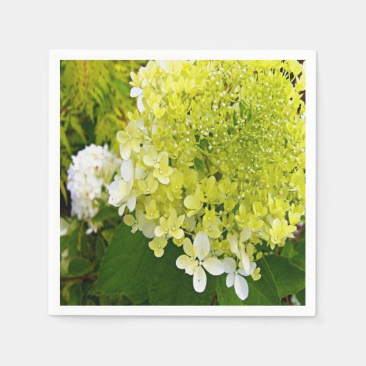 Elegante Chartreuse Green Limelight Hydrangea Serviette (Vorderseite)