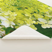 Elegante Chartreuse Green Limelight Hydrangea Sherpadecke (3/4)