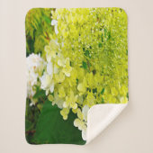 Elegante Chartreuse Green Limelight Hydrangea Sherpadecke (Vorderseite)