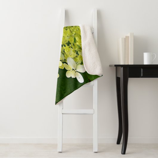 Elegante Chartreuse Green Limelight Hydrangea Sherpadecke (Beispiel)