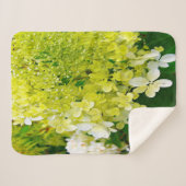 Elegante Chartreuse Green Limelight Hydrangea Sherpadecke (Vorderseite (Horizontal))