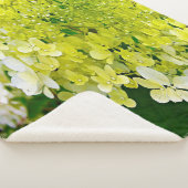 Elegante Chartreuse Green Limelight Hydrangea Sherpadecke (3/4)