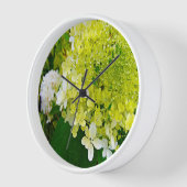 Elegante Chartreuse Green Limelight Hydrangea Uhr (Winkel)