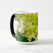 Elegante Chartreuse Green Limelight Hydrangea Verwandlungstasse (Vorderseite Links)