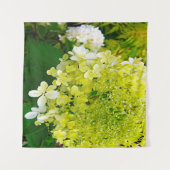 Elegante Chartreuse Green Limelight Hydrangea Wandteppich (Vorderseite (Horizontal))