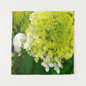 Elegante Chartreuse Green Limelight Hydrangea Wandteppich (Vorderseite)