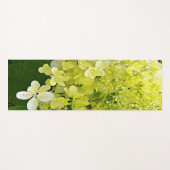 Elegante Chartreuse Green Limelight Hydrangea Yogamatte (Vorderseite (Horizontal))