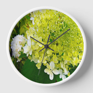 Elegante Chartreuse Grün Limelight Hortensie Uhr