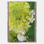 Elegante Chartreuse-Grüne Limelight-Hortensie Decke (Vorderseite Vertikal)