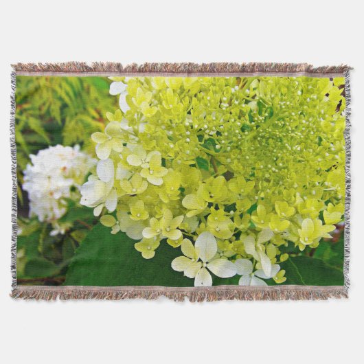 Elegante Chartreuse-Grüne Limelight-Hortensie Decke (Vorderseite)