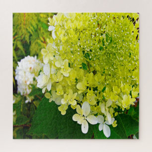Elegante Chartreuse-Grüne Limelight-Hortensie Puzzle