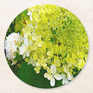 Elegante Chartreuse-Grüne Limelight-Hortensie Runder Pappuntersetzer