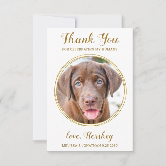 Elegante Chic Gold Custom Dog Foto Haustier Hochze Dankeskarte (Vorderseite)