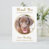 Elegante Chic Gold Custom Dog Foto Haustier Hochze Dankeskarte (Stehend Vorderseite)