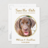 Elegante Chic Gold Custom Pet Foto Hochzeit Ankündigungspostkarte (Vorne/Hinten)