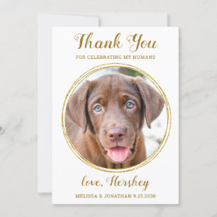 Elegante Chic Gold Custom Pet Foto Hochzeit Dankeskarte