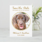 Elegante Chic Gold Custom Pet Foto Hochzeit Save The Date (Stehend Vorderseite)