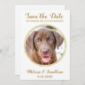 Elegante Chic Gold Custom Pet Foto Hochzeit Save The Date (Vorne/Hinten)