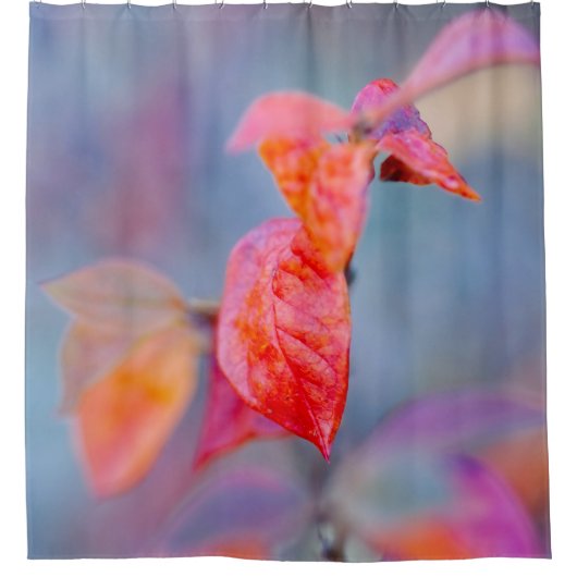 Elegante Cotonou-Oaster-Blätter Duschvorhang (Vorderseite)