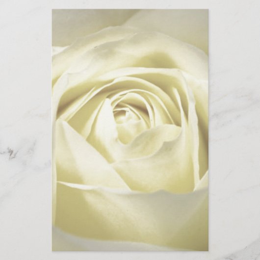 Elegante Cream Rose Briefpapier (Vorderseite)