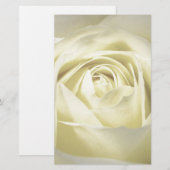 Elegante Cream Rose Briefpapier (Vorne/Hinten)