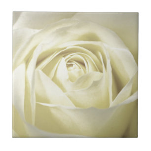 Elegante Cream Rose Fliese