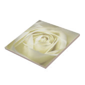 Elegante Cream Rose Fliese (Seite)