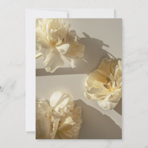 Elegante cremefarbene Tulpen in warmem Licht,  Dankeskarte