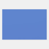 Elegante CSA Geschenkblätter Geschenkpapier Set (Vorderseite 3)