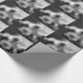 Elegante Daisy-Blume in Schwarz und Weiß Geschenkpapier (Ecke)