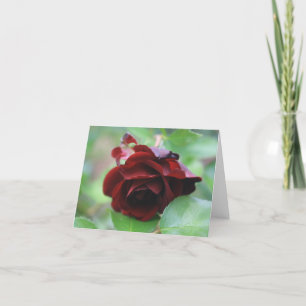 Elegante Deep Rote Rose Note Card Dankeskarte