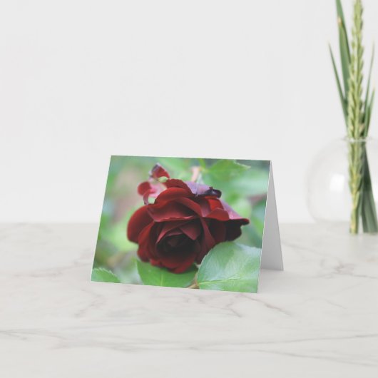 Elegante Deep Rote Rose Note Card Dankeskarte (Vorderseite)