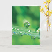 Elegante Dew Drop Note Card mit Gedicht Karte (Gelbe Blume)