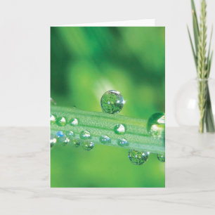 Elegante Dew Drop Note Card mit Gedicht Karte