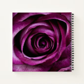 Elegante dunkelviolette Rose Notizblock (Rückseite)