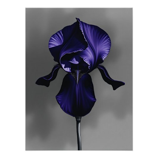 Elegante dunkle Iris mit rauschiger Grau Poster (Vorderseite)