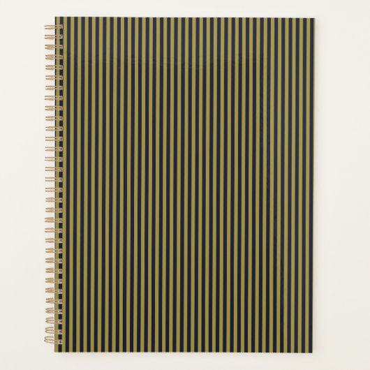 Elegante dünne goldene und blaue blaue Streifen Planer (Vorderseite)