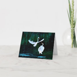 Elegante Egrets im Tanz Karte