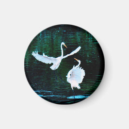 Elegante Egrets im Tanz Magnet