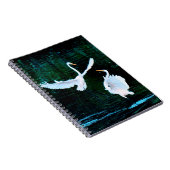Elegante Egrets im Tanz Notizblock (Rechte Seite)