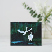 Elegante Egrets im Tanz Postkarte (Stehend Vorderseite)