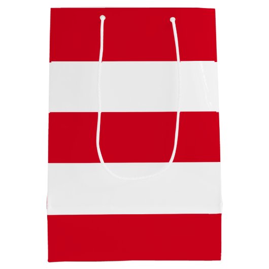 Elegante, einfache, rote Streifen Mittlere Geschenktüte (Rückseite)