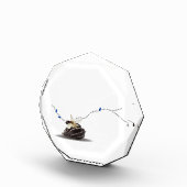 Elegante Einrichtung an der Küste Fotoblock (Rechts)