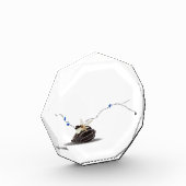 Elegante Einrichtung an der Küste Fotoblock (Links)