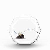 Elegante Einrichtung an der Küste Fotoblock (Vorderseite)