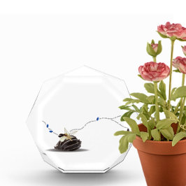 Elegante Einrichtung an der Küste Fotoblock